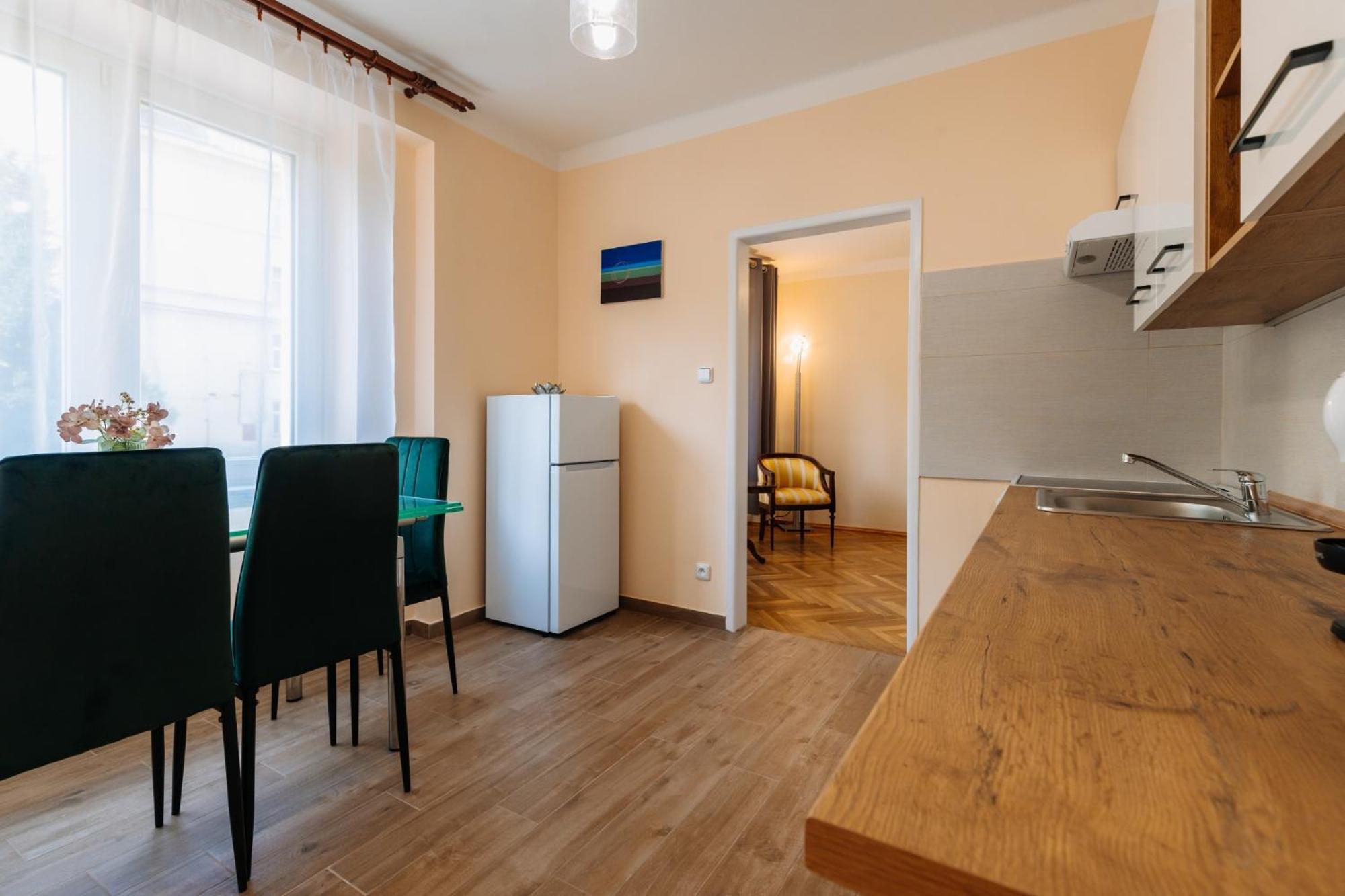 Apartments Tgm 11 카를로비바리 외부 사진